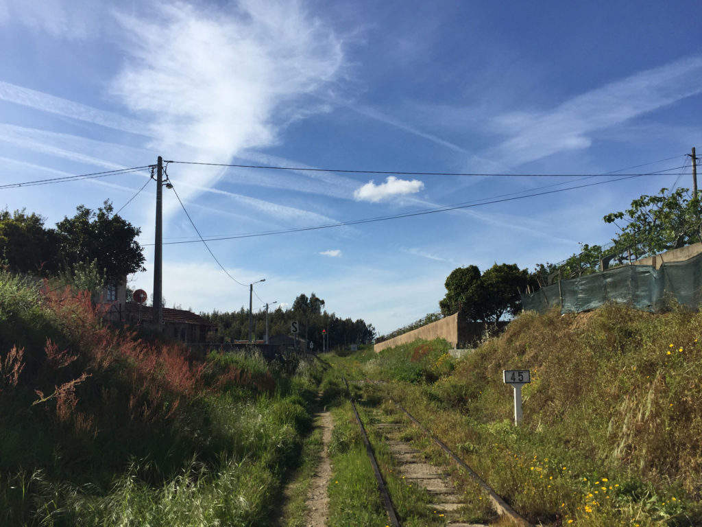 Wandern entlang alter Bahnschienen nördlich von Albergaria a Velha