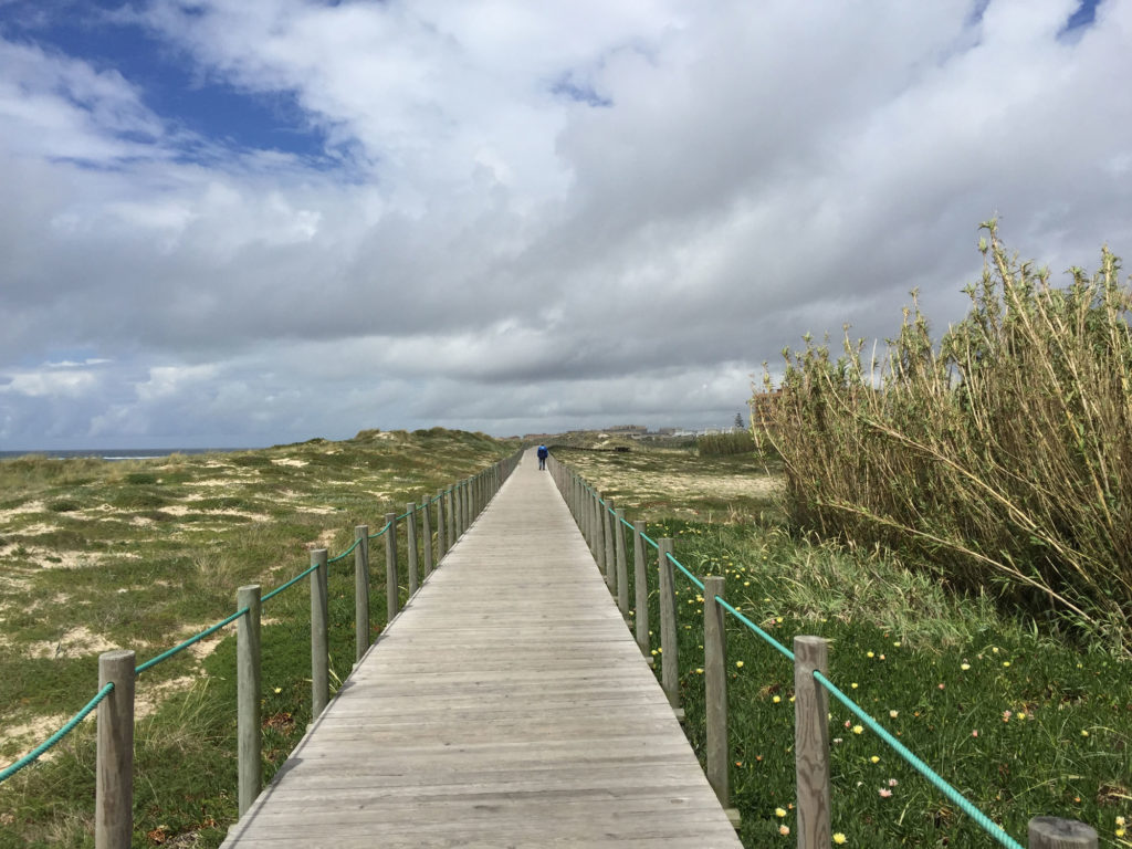 Typischer Anblick für den ersten Teil des portugiesischen Küstenwegs